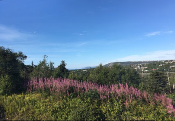 Meet your Posher, Anna - Picture 1 of 1